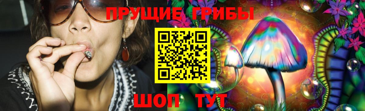 Псилоцибиновые грибы Psilocybine cubensis  Псилоцибиновые грибы мухоморы  Назрань  продажа наркотиков  Вход с VPN 